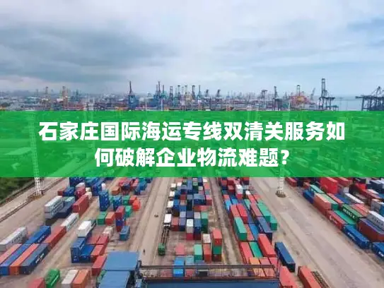石家庄国际海运专线双清关服务如何破解企业物流难题？