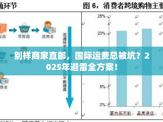 别样商家直邮，国际运费总被坑？2025年避雷全方案！