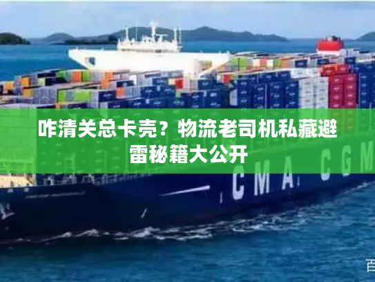 咋清关总卡壳?物流老司机私藏避雷秘籍大公开 咋清关总卡壳?物流老司机私藏避雷秘籍大公开