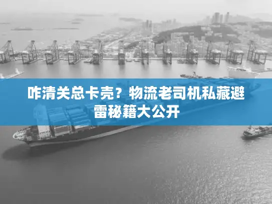 咋清关总卡壳?物流老司机私藏避雷秘籍大公开 咋清关总卡壳?物流老司机私藏避雷秘籍大公开