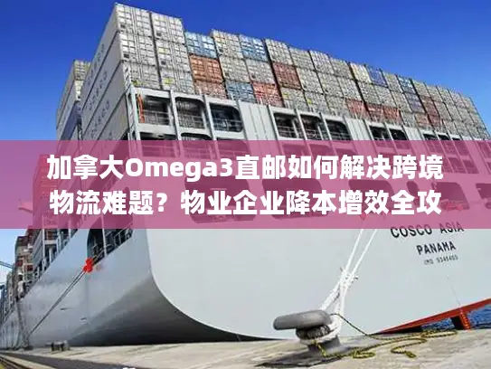 加拿大Omega3直邮如何解决跨境物流难题？物业企业降本增效全攻略