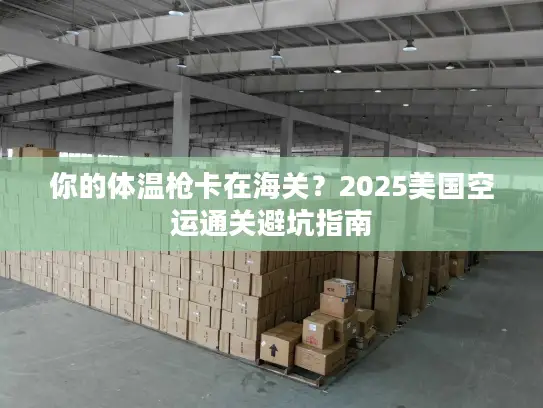 你的体温枪卡在海关？2025美国空运通关避坑指南