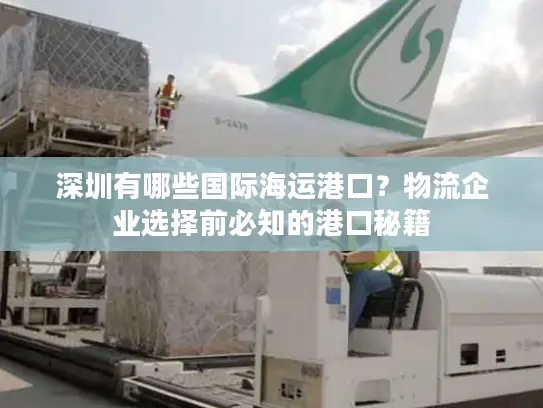 深圳有哪些国际海运港口？物流企业选择前必知的港口秘籍