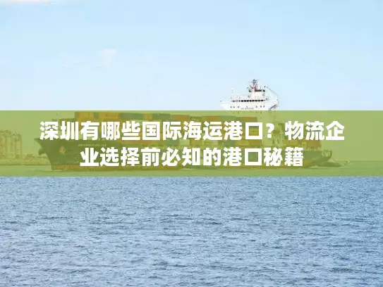 深圳有哪些国际海运港口？物流企业选择前必知的港口秘籍