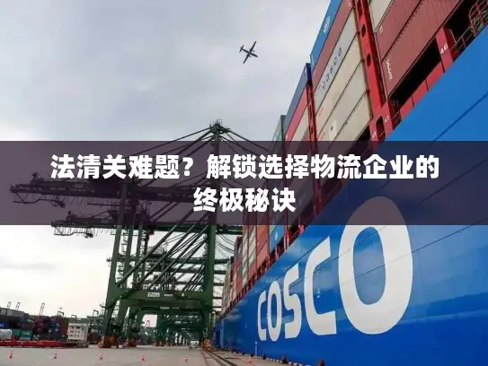 法清关难题？解锁选择物流企业的终极秘诀