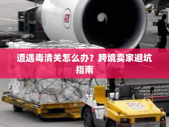 遭遇毒清关怎么办？跨境卖家避坑指南