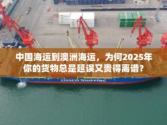 中国海运到澳洲海运，为何2025年你的货物总是延误又贵得离谱？