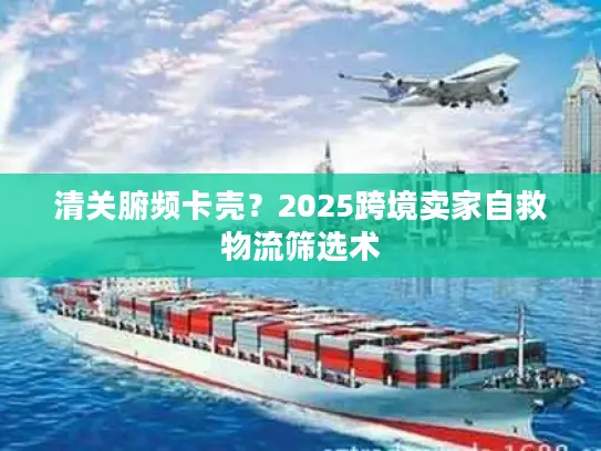 清关腑频卡壳？2025跨境卖家自救物流筛选术