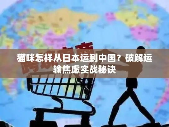 猫咪怎样从日本运到中国？破解运输焦虑实战秘诀