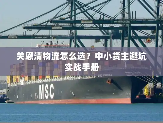 关恩清物流怎么选？中小货主避坑实战手册