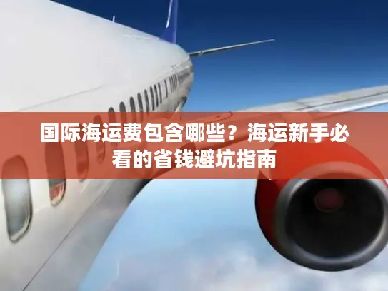 国际海运费包含哪些？海运新手必看的省钱避坑指南