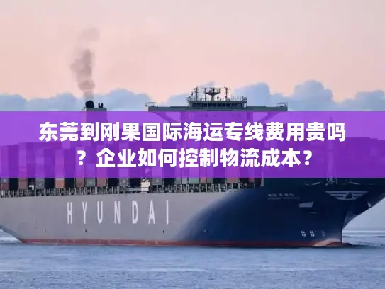 东莞到刚果国际海运专线费用贵吗？企业如何控制物流成本？