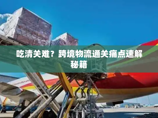 吃清关难？跨境物流通关痛点速解秘籍