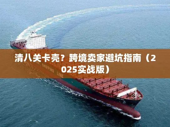 清八关卡壳？跨境卖家避坑指南（2025实战版）