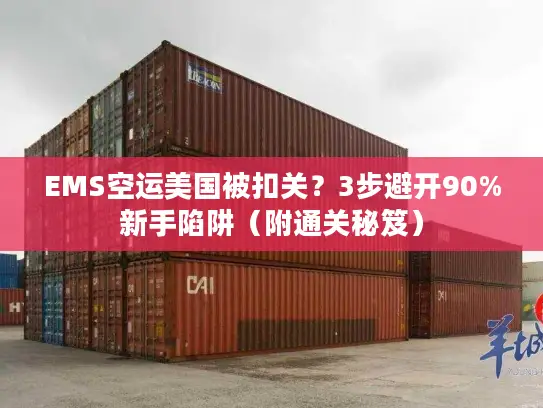 EMS空运美国被扣关？3步避开90%新手陷阱（附通关秘笈）