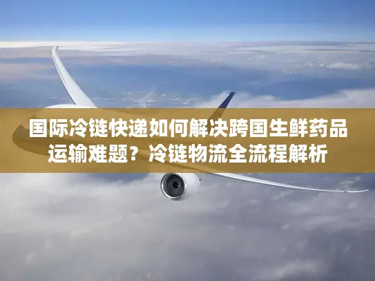 国际冷链快递如何解决跨国生鲜药品运输难题？冷链物流全流程解析
