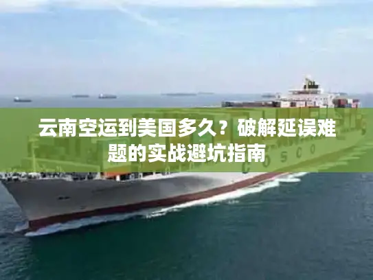 云南空运到美国多久？破解延误难题的实战避坑指南