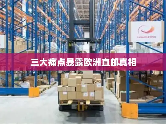 三大痛点暴露欧洲直邮真相