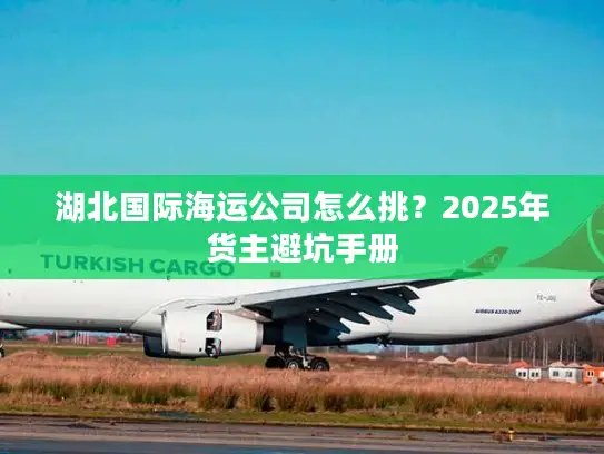 湖北国际海运公司怎么挑？2025年货主避坑手册