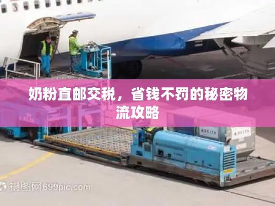 奶粉直邮交税,省钱不罚的秘密物流攻略 奶粉直邮交税,省钱不罚的秘密物流攻略