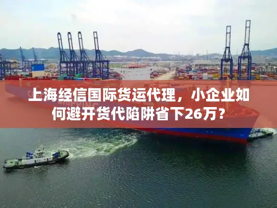 上海经信国际货运代理，小企业如何避开货代陷阱省下26万？