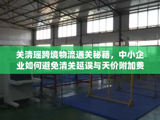 关清瑶跨境物流通关秘籍，中小企业如何避免清关延误与天价附加费？