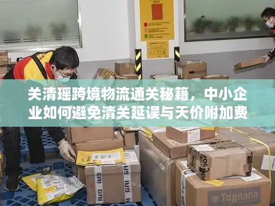 关清瑶跨境物流通关秘籍，中小企业如何避免清关延误与天价附加费？