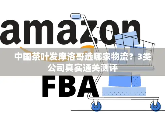 中国茶叶发摩洛哥选哪家物流？3类公司真实通关测评