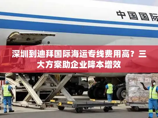 深圳到迪拜国际海运专线费用高？三大方案助企业降本增效