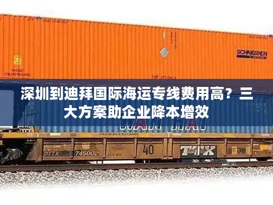 深圳到迪拜国际海运专线费用高？三大方案助企业降本增效