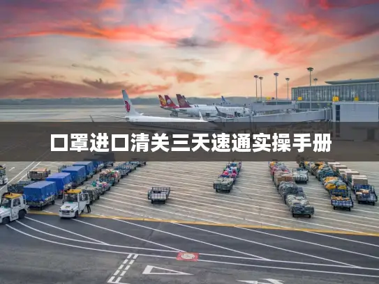 口罩进口清关三天速通实操手册