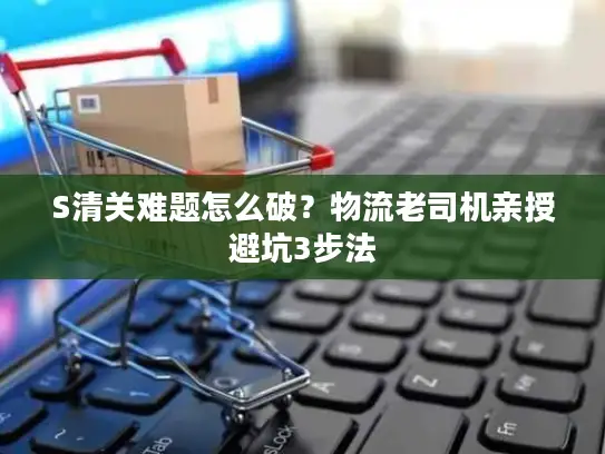 S清关难题怎么破？物流老司机亲授避坑3步法