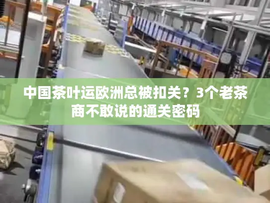 中国茶叶运欧洲总被扣关？3个老茶商不敢说的通关密码