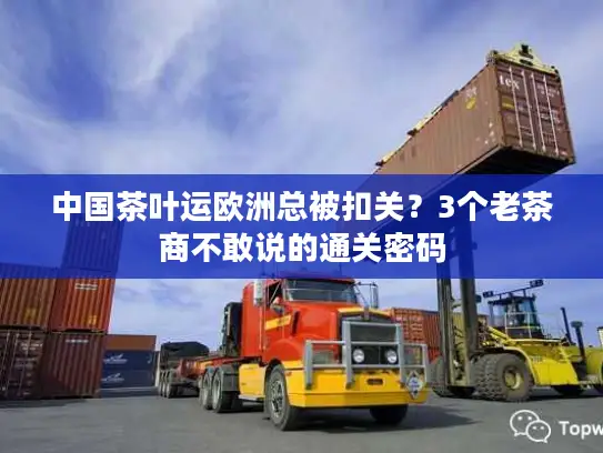 中国茶叶运欧洲总被扣关？3个老茶商不敢说的通关密码