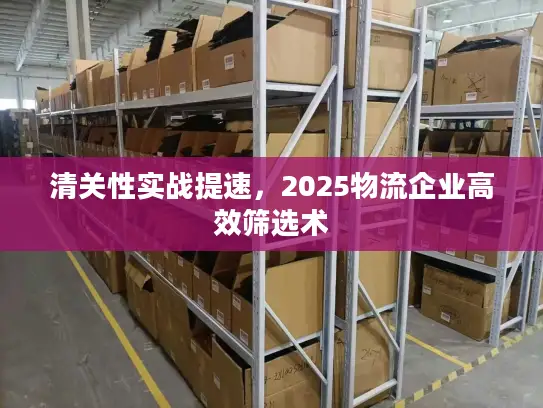 清关性实战提速，2025物流企业高效筛选术