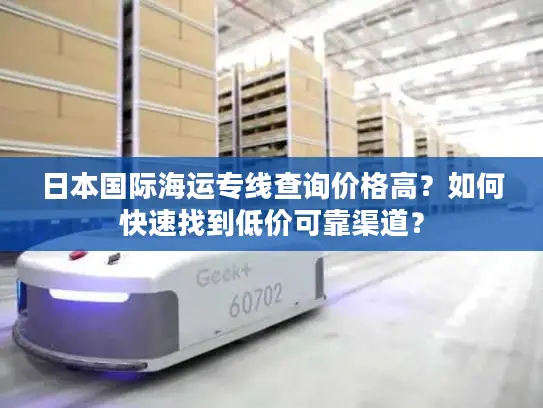 日本国际海运专线查询价格高？如何快速找到低价可靠渠道？