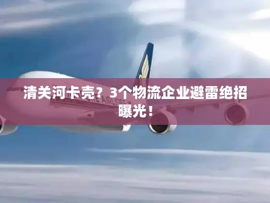 清关河卡壳？3个物流企业避雷绝招曝光！
