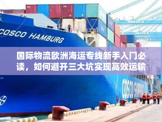 国际物流欧洲海运专线新手入门必读，如何避开三大坑实现高效运输？