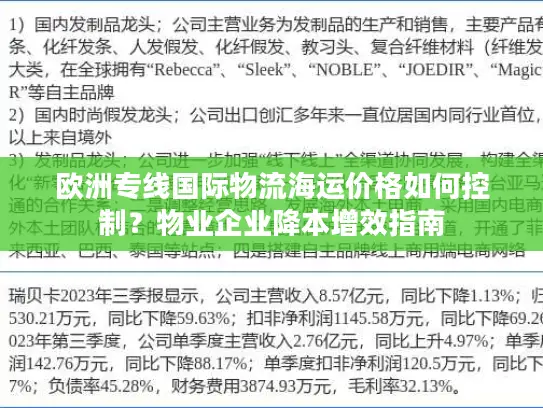 欧洲专线国际物流海运价格如何控制？物业企业降本增效指南