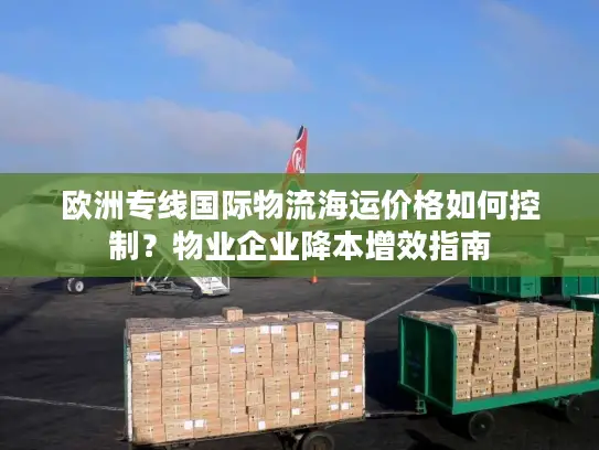欧洲专线国际物流海运价格如何控制？物业企业降本增效指南