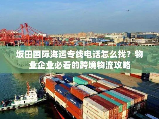 坂田国际海运专线电话怎么找？物业企业必看的跨境物流攻略