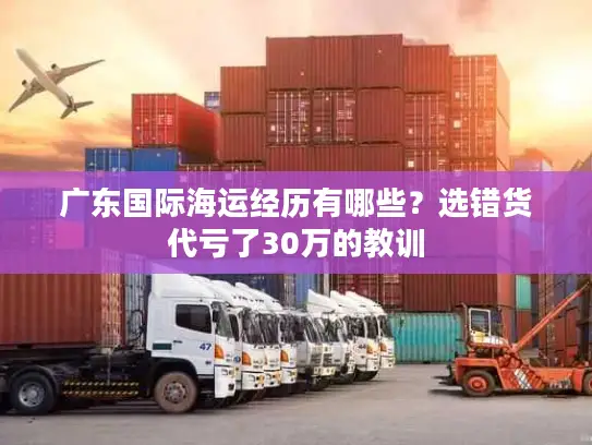 广东国际海运经历有哪些?选错货代亏了30万的教训 广东国际海运经历有哪些?选错货代亏了30万的教训