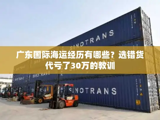 广东国际海运经历有哪些?选错货代亏了30万的教训 广东国际海运经历有哪些?选错货代亏了30万的教训