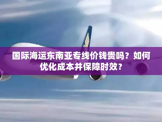 国际海运东南亚专线价钱贵吗？如何优化成本并保障时效？