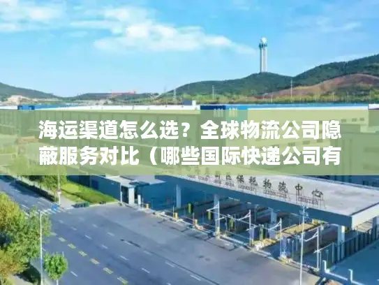 海运渠道怎么选？全球物流公司隐蔽服务对比（哪些国际快递公司有海运）