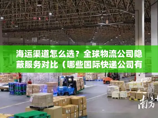 海运渠道怎么选？全球物流公司隐蔽服务对比（哪些国际快递公司有海运）