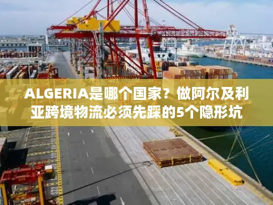 ALGERIA是哪个国家？做阿尔及利亚跨境物流必须先踩的5个隐形坑