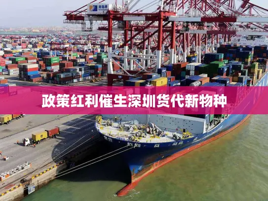 政策红利催生深圳货代新物种