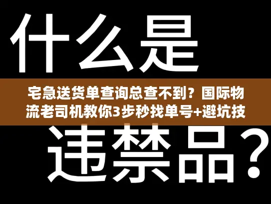 宅急送货单查询总查不到？国际物流老司机教你3步秒找单号+避坑技巧