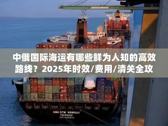 中俄国际海运有哪些鲜为人知的高效路线？2025年时效/费用/清关全攻略！